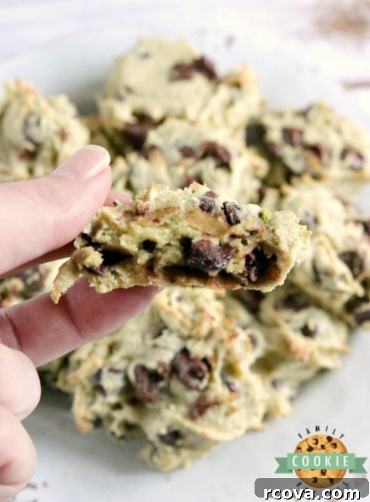 Fudgy Avocado Chocolate Chip Cookies 5 A single avocado chocolate chip cookie broken in half, revealing its moist interior, abundant chocolate chips, and slightly green hue.