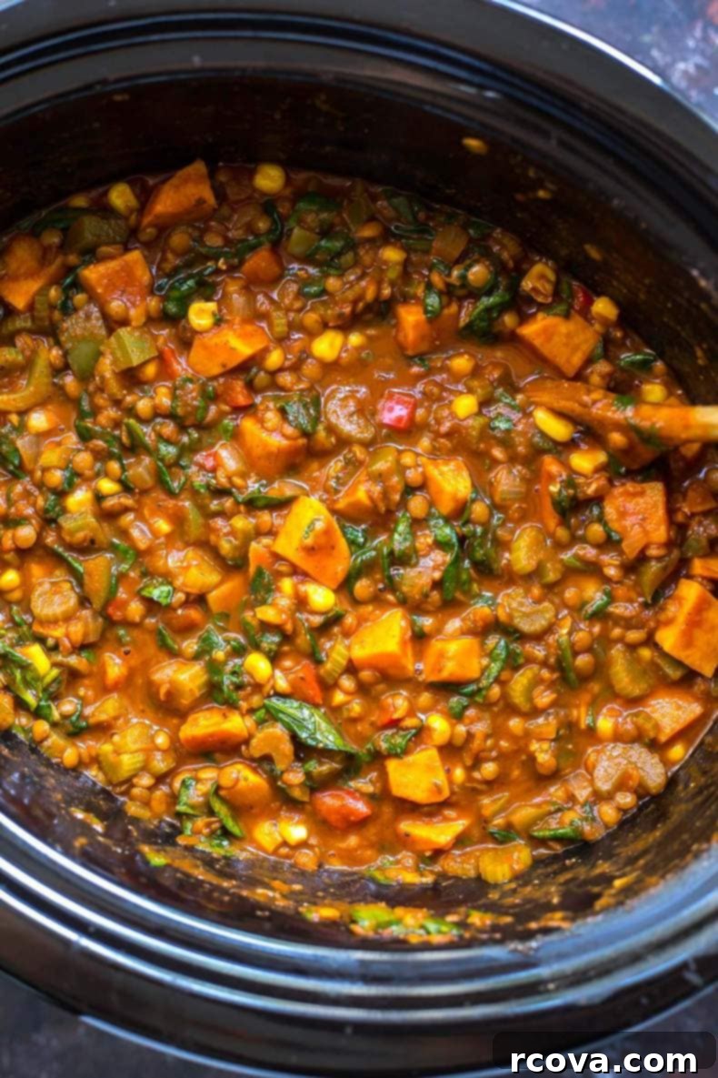 Hearty Slow Cooker Vegetarian Lentil Chili 4 Close-up of Slow Cooker Sweet Potato Lentil Chili in a bowl, garnished with fresh cilantro.