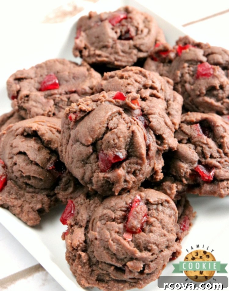 Dark Chocolate Cherry Indulgence 2 Deliciously soft and chewy Cherry Chocolate Cookies, packed with juicy cherries and made with a special chocolate pudding mix for perfect flavor and consistency.