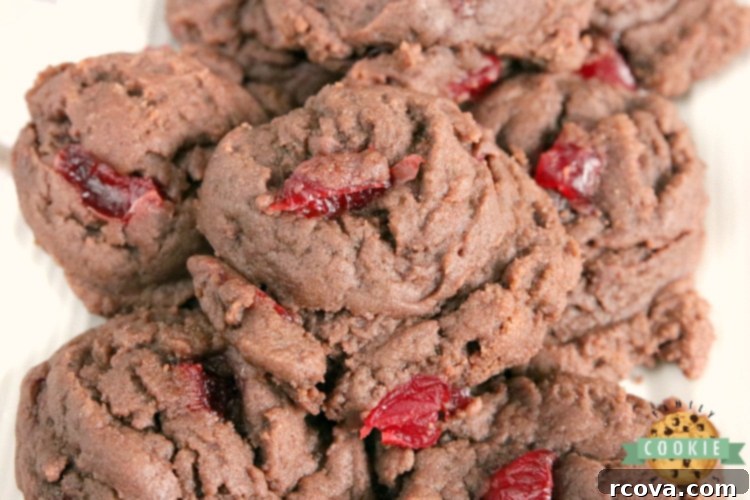 Dark Chocolate Cherry Indulgence 4 A perfectly baked Cherry Chocolate Cookie, showing its soft interior and the juicy maraschino cherry pieces throughout, a testament to careful baking and quality ingredients.