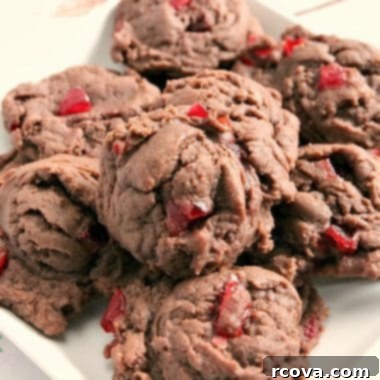 Dark Chocolate Cherry Indulgence 7 Cherry Chocolate Cookies recipe card image