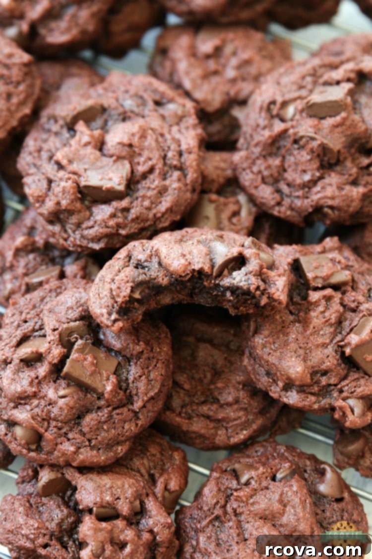 Decadent Double Chocolate Chip Pudding Cookies 2 DOUBLE CHOCOLATE CHIP PUDDING COOKIES - Double Chocolate Pudding Cookies made with chocolate pudding mix for soft, sweet cookies with incredible chocolate flavor! Best cookies for chocolate lovers for sure. #cookies #chocolate #baking #dessert #chocolatechips #pudding #recipe from FAMILY COOKIE RECIPES