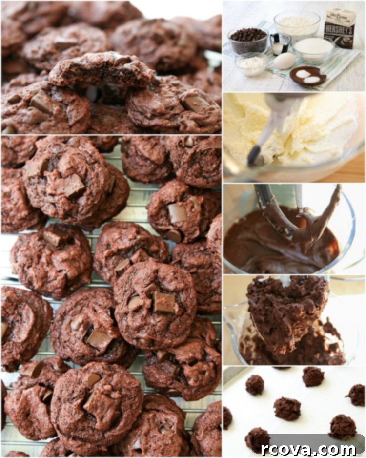 Decadent Double Chocolate Chip Pudding Cookies 12 how to make chocolate pudding cookies recipe