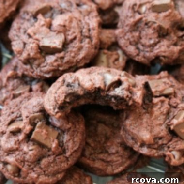 Decadent Double Chocolate Chip Pudding Cookies 13 img 1925 12