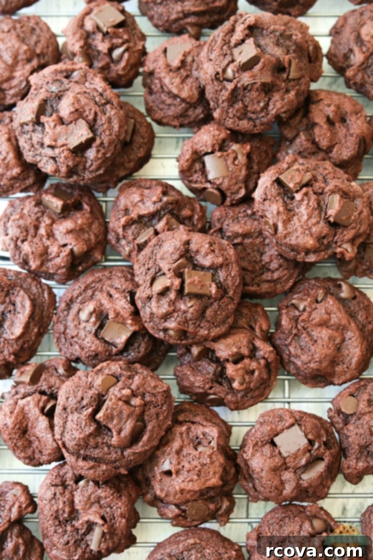 Decadent Double Chocolate Chip Pudding Cookies 15 DOUBLE CHOCOLATE CHIP PUDDING COOKIES - Double Chocolate Pudding Cookies made with chocolate pudding mix for soft, sweet cookies with incredible chocolate flavor! Best cookies for chocolate lovers for sure. #cookies #chocolate #baking #dessert #chocolatechips #pudding #recipe from FAMILY COOKIE RECIPES