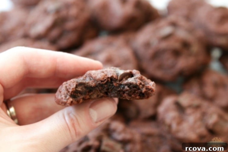 Decadent Double Chocolate Chip Pudding Cookies 16 img 1925 15