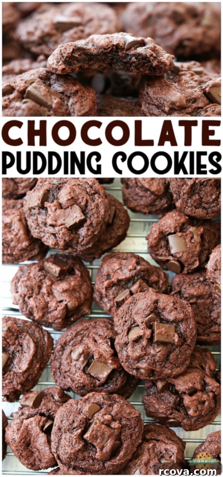 Decadent Double Chocolate Chip Pudding Cookies 17 DOUBLE CHOCOLATE CHIP PUDDING COOKIES - Double Chocolate Pudding Cookies made with chocolate pudding mix for soft, sweet cookies with incredible chocolate flavor! Best cookies for chocolate lovers for sure. #cookies #chocolate #baking #dessert #chocolatechips #pudding #recipe from FAMILY COOKIE RECIPES