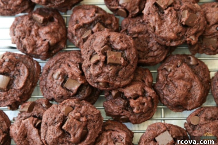 Decadent Double Chocolate Chip Pudding Cookies 3 img 1925 2