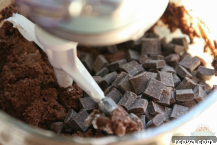 Decadent Double Chocolate Chip Pudding Cookies 5 img 1925 4
