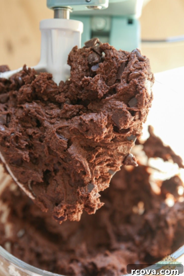 Decadent Double Chocolate Chip Pudding Cookies 6 img 1925 5