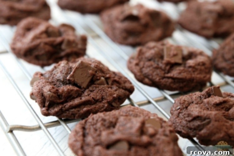 Decadent Double Chocolate Chip Pudding Cookies 7 img 1925 6