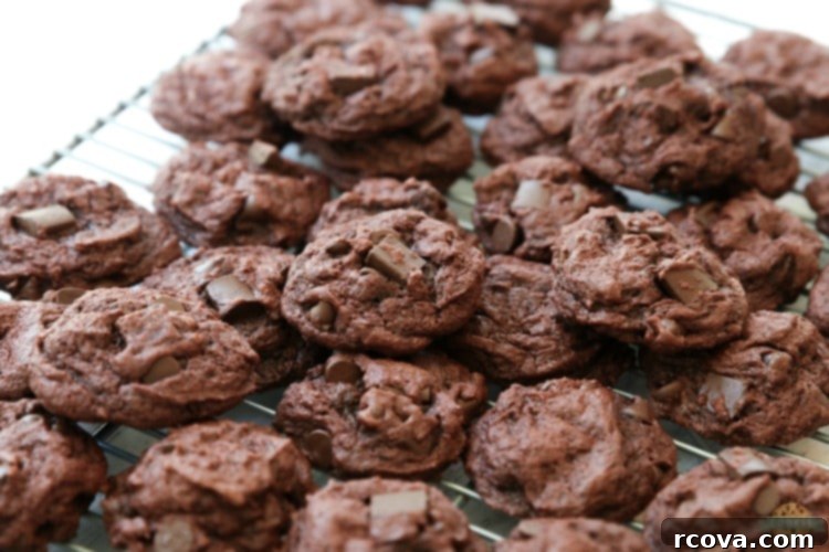 Decadent Double Chocolate Chip Pudding Cookies 10 img 1925 9