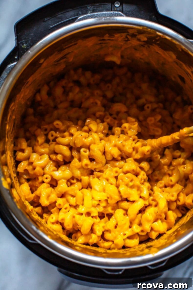 Creamy Butternut Mac and Cheese 5 Butternut Squash Mac and Cheese ready for serving or freezing