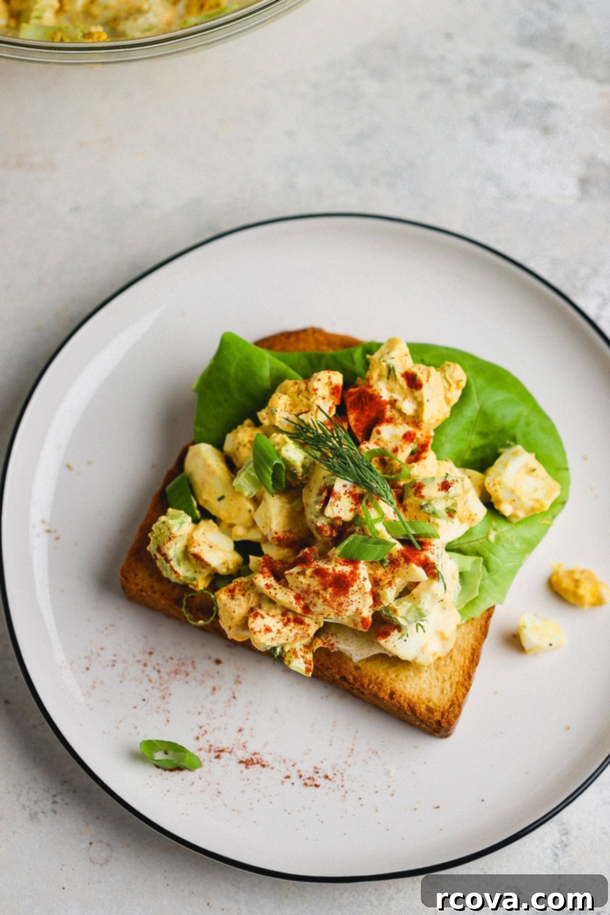 Zesty Celery and Pickle Juice Egg Salad 2 Close-up of creamy egg salad with fresh dill and a sprinkle of paprika in a white bowl, ready to be served.