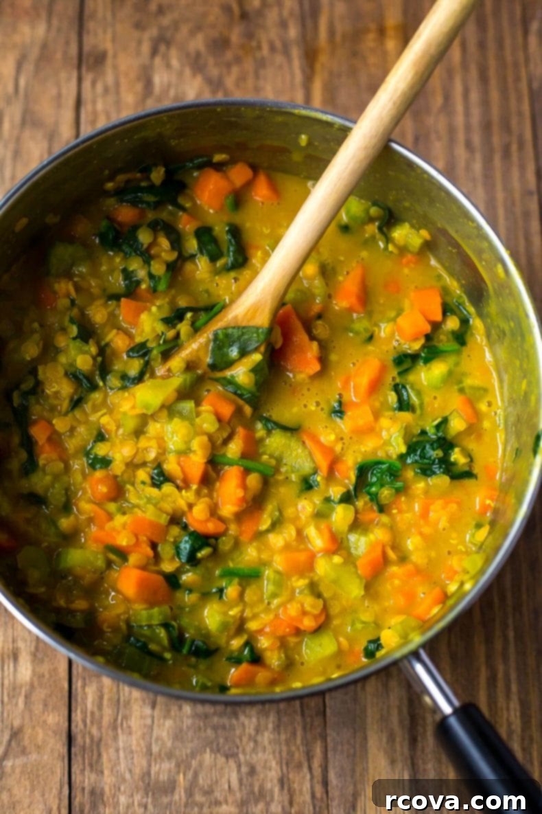 Heartwarming Lentil Soup Jar Gift 5 Easy Coconut Curry Lentil Soup in a Jar