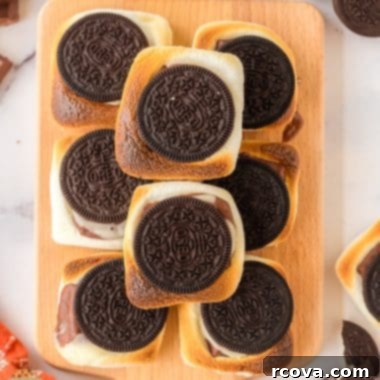 Ultimate Oreo S'mores 7 plateful of oreo smores