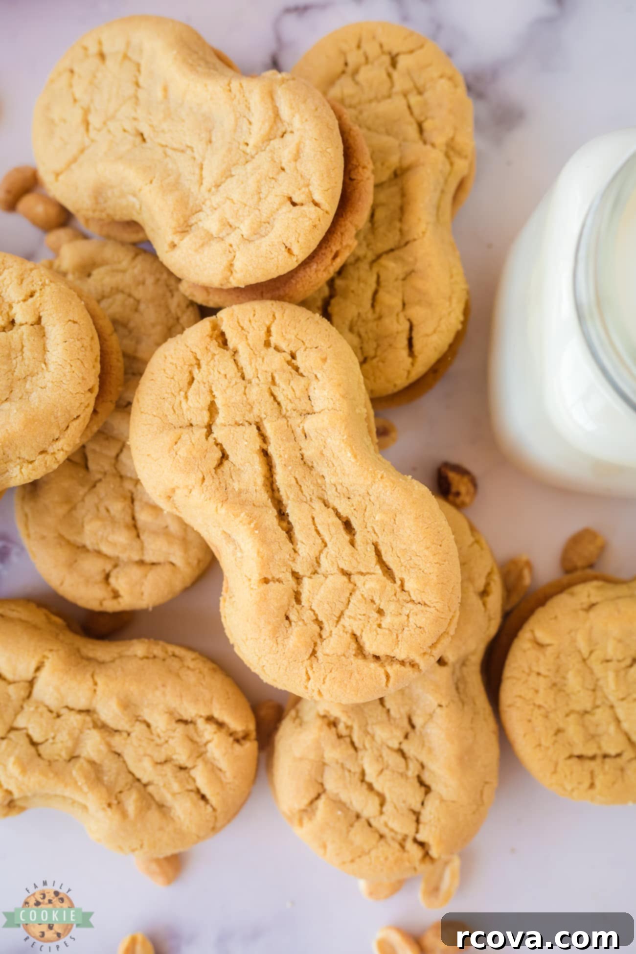 Peanut Butter Perfection Sandwiches 2 homemade nutter butter cookies