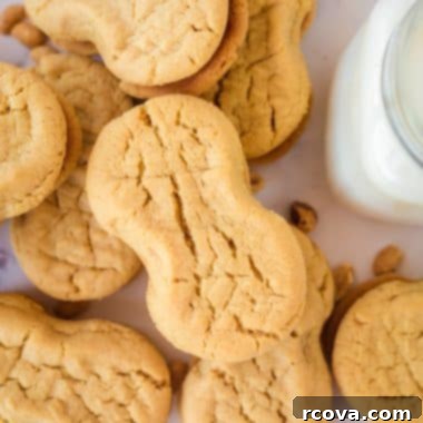 Peanut Butter Perfection Sandwiches 7 homemade nutter butter cookies