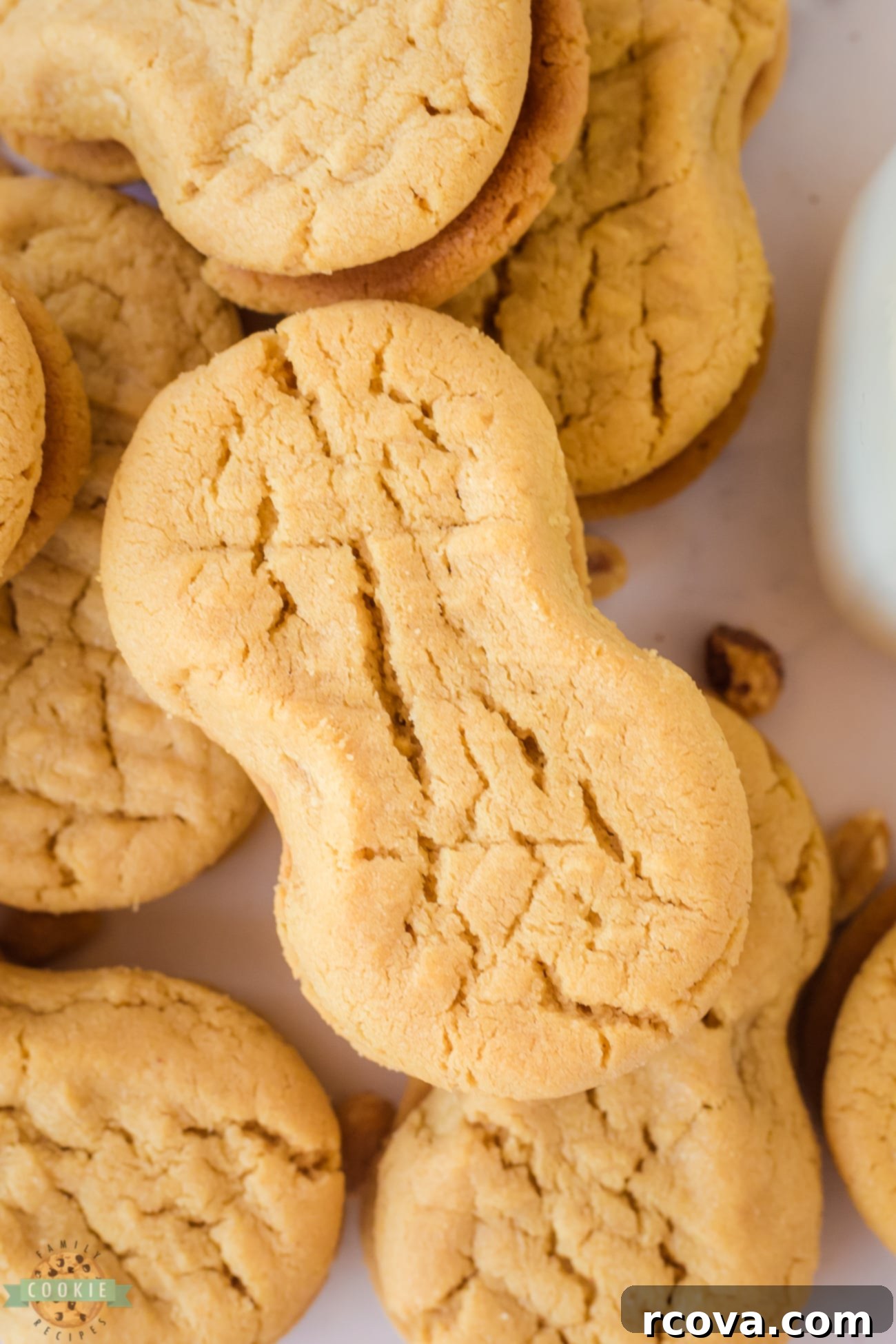 Peanut Butter Perfection Sandwiches 8 homemade peanut butter nutter butters
