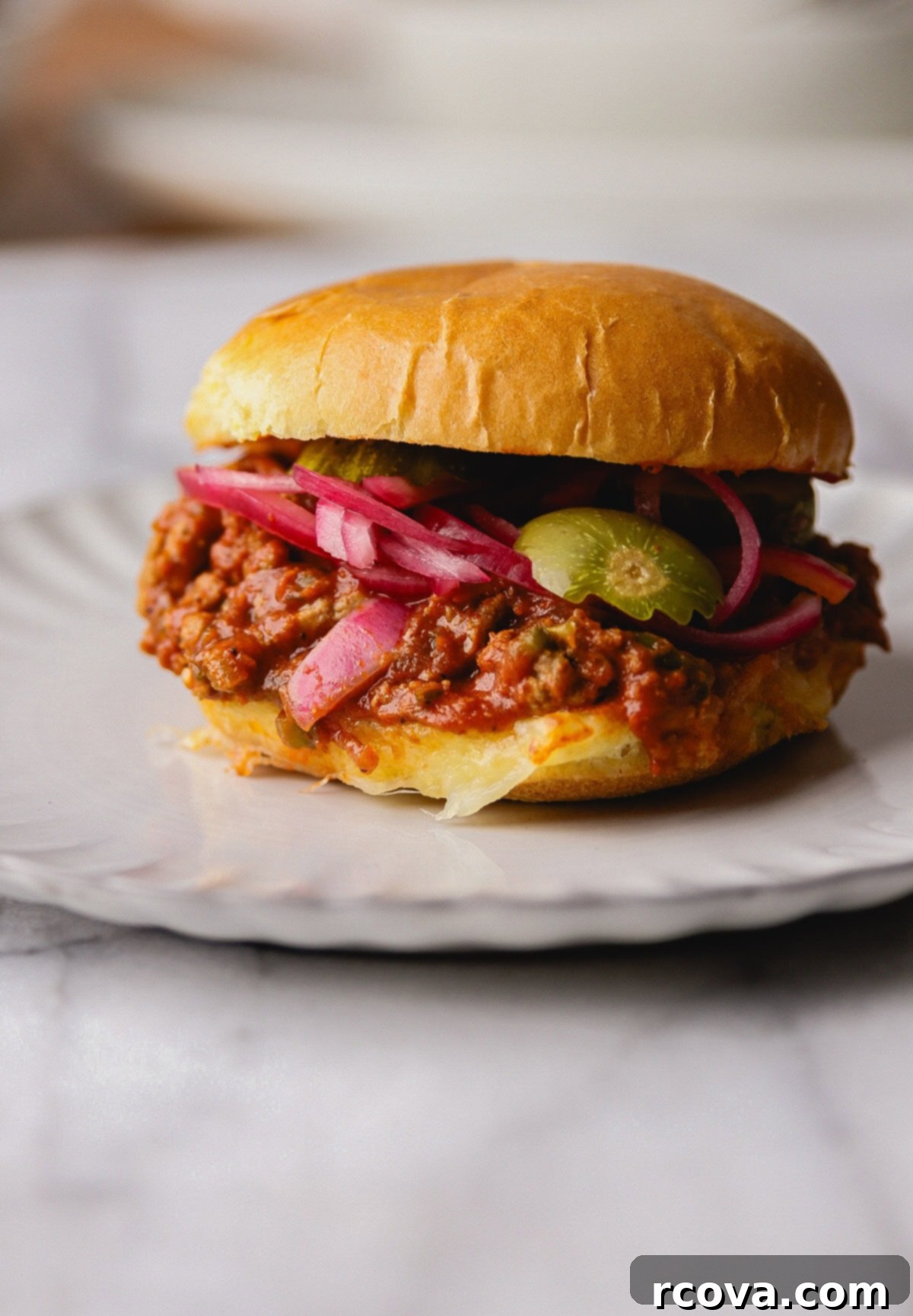 Easy Turkey Sloppy Janes 2 Two sloppy jane sandwiches on buns with side salad