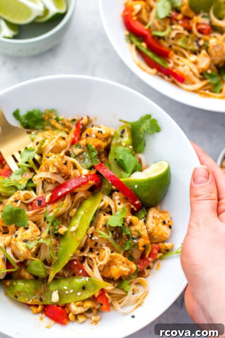 Creamy Instant Pot Red Curry Chicken Noodles 6 A serving of Instant Pot Red Curry Chicken Noodles with fresh garnishes