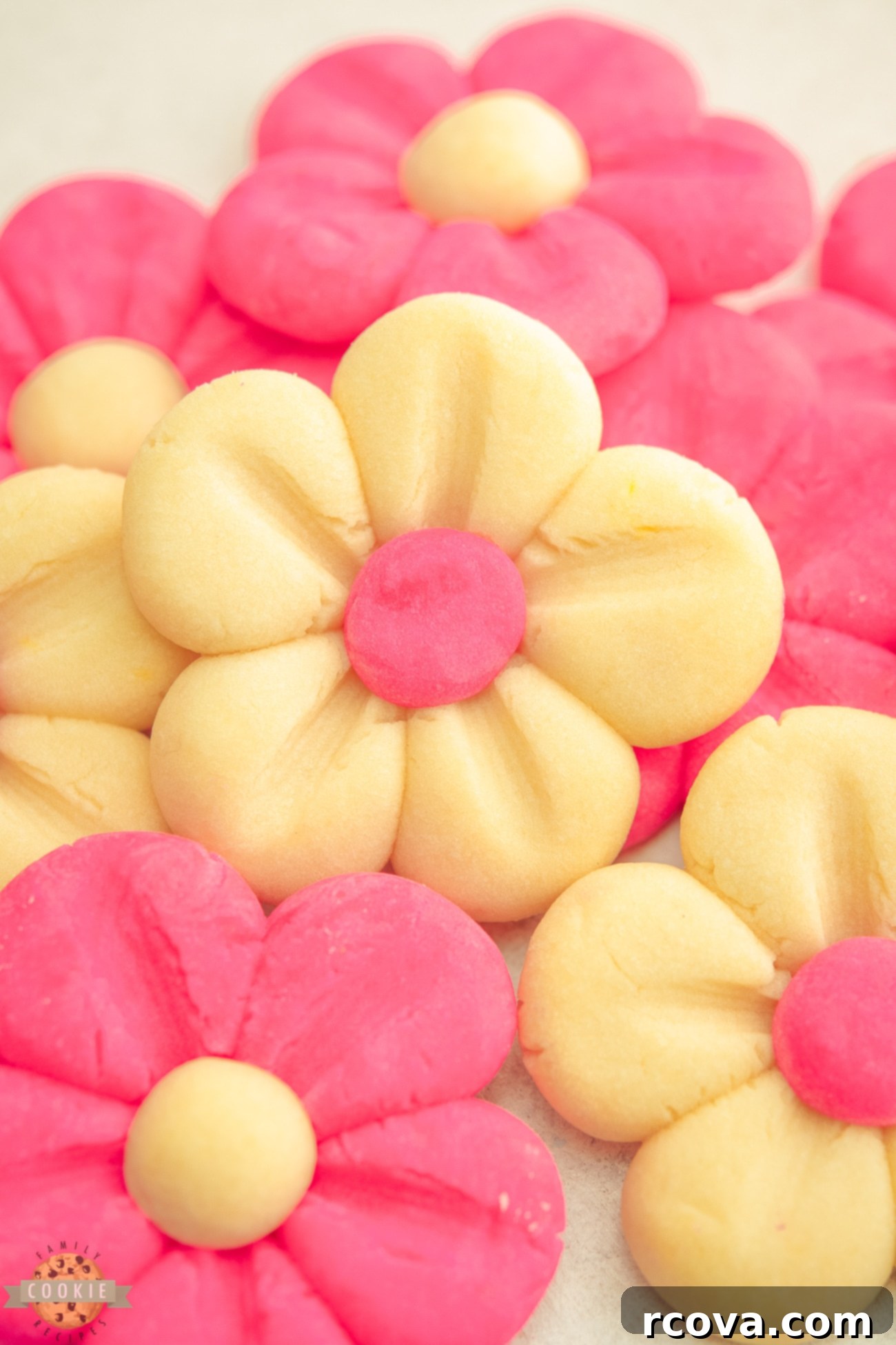 Blushing Daisy Delights 5 cute butter cookies shaped like pink daisies