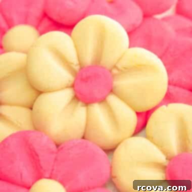 Blushing Daisy Delights 6 cute butter cookies shaped like pink daisies