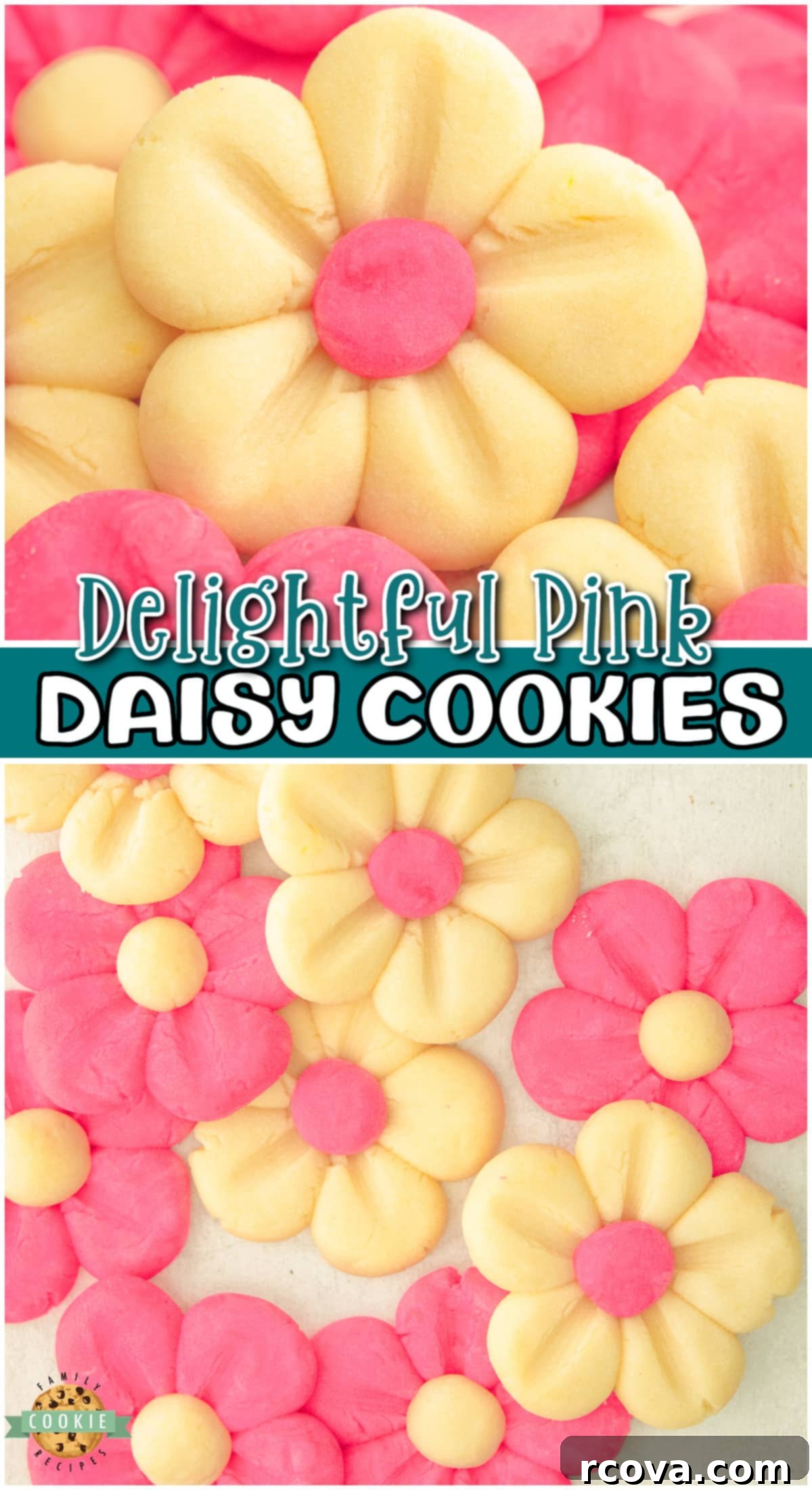 Blushing Daisy Delights 9 Pink Daisy Cookies are made from a buttery vanilla dough formed to look like pretty blooming flower petals perfect for parties!