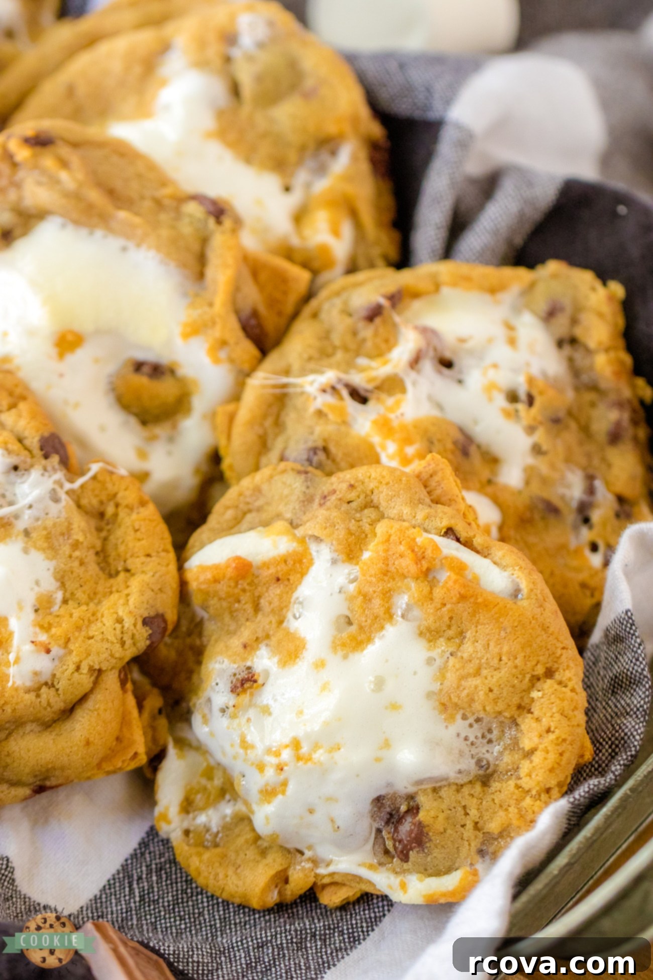 Effortless 4-Ingredient S'mores Chocolate Chip Cookies 2 easy 4 ingredient s'mores cookies
