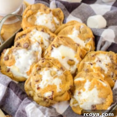 Effortless 4-Ingredient S'mores Chocolate Chip Cookies 6 easy 4 ingredient s'mores cookies