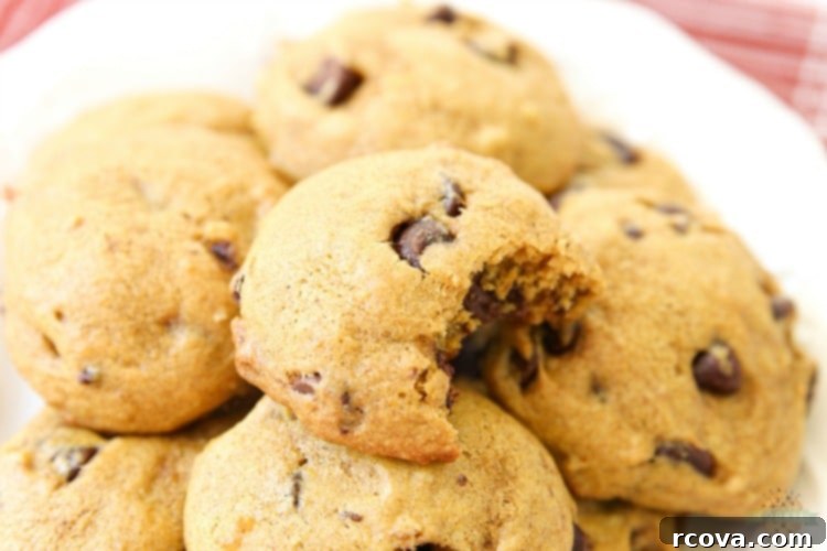 Soft & Chewy Pumpkin Chocolate Chip Cookies 2 Close-up of a stack of freshly baked Pumpkin Chocolate Chip Cookies, showcasing their soft texture and abundant chocolate chips.