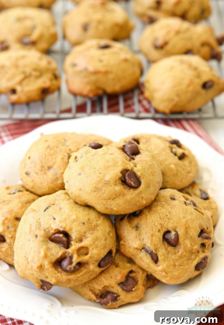 Soft & Chewy Pumpkin Chocolate Chip Cookies 3 A plate of Pumpkin Chocolate Chip Cookies with a warm, inviting fall aesthetic, highlighting their golden brown edges and soft centers.
