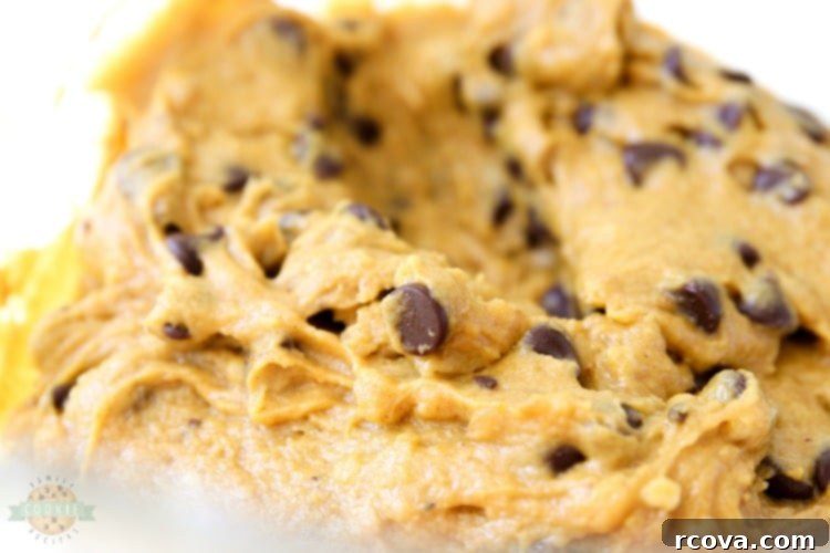 Soft & Chewy Pumpkin Chocolate Chip Cookies 5 A bowl of wet ingredients for pumpkin chocolate chip cookies, including pumpkin puree, sugar, oil, and egg, being mixed.