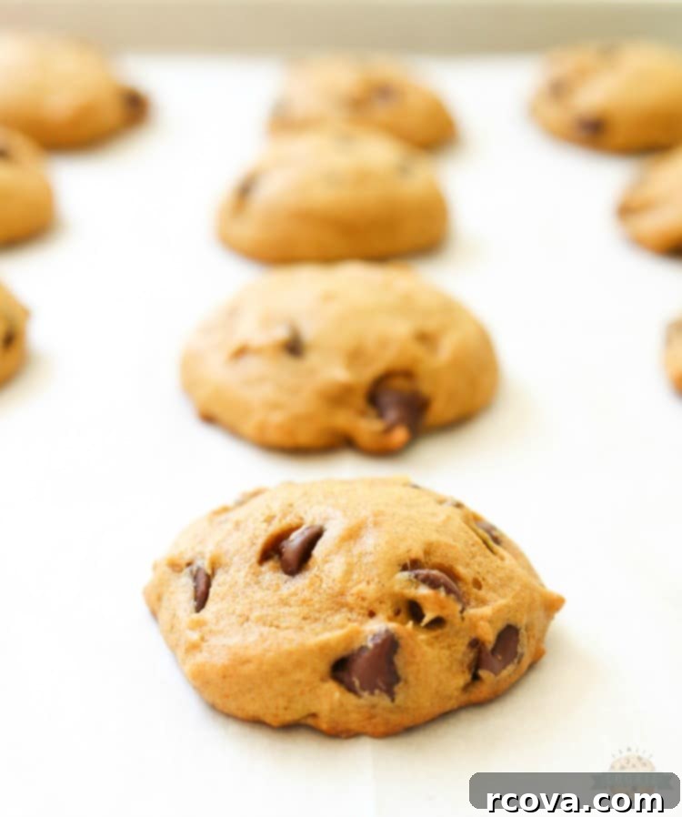 Soft & Chewy Pumpkin Chocolate Chip Cookies 7 A batch of baked Pumpkin Chocolate Chip Cookies cooling on a wire rack.