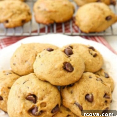 Soft & Chewy Pumpkin Chocolate Chip Cookies 8 Best Pumpkin Chocolate Chip Cookies on a plate, ready to be enjoyed.