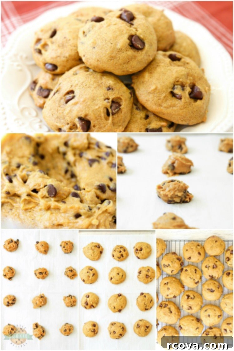 Soft & Chewy Pumpkin Chocolate Chip Cookies 9 A collage of various pumpkin cookie images, including finished cookies and ingredients, perfect for a fall baking inspiration.