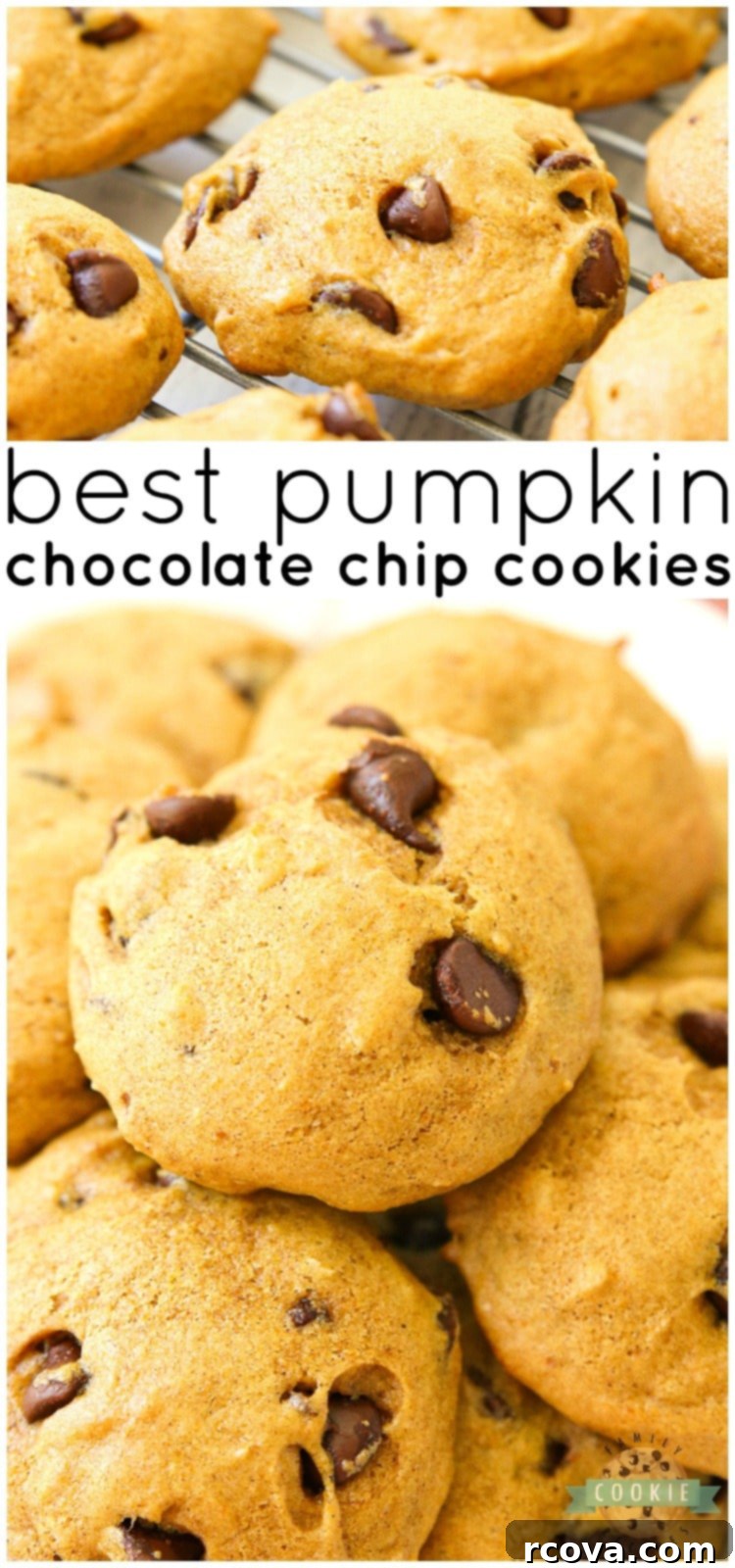 Soft & Chewy Pumpkin Chocolate Chip Cookies 10 A beautiful Pinterest-optimized image of Pumpkin Chocolate Chip Cookies, inviting readers to try the recipe and share on social media.