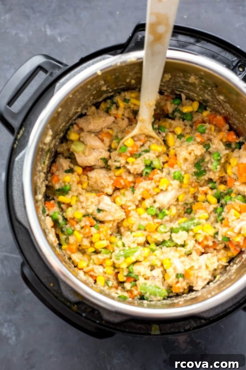 Instant Pot Chicken Fried Rice Weekly Prep Bowls 4 Instant Pot Chicken Fried Rice Meal Prep Bowls-8
