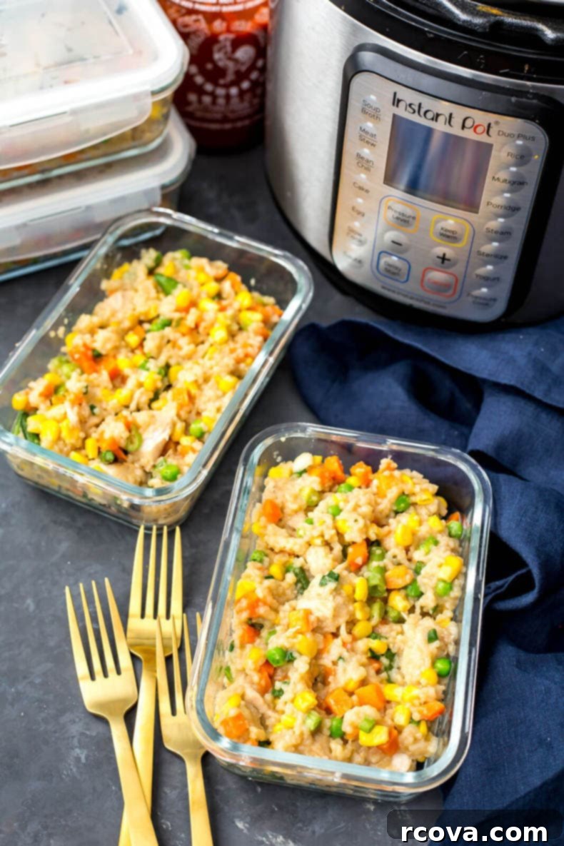 Instant Pot Chicken Fried Rice Weekly Prep Bowls 6 Instant Pot Chicken Fried Rice Meal Prep Bowls
