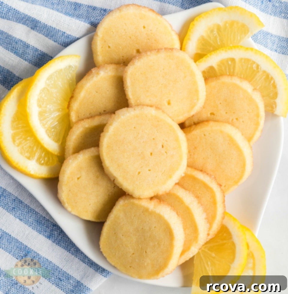 Zesty Lemon Cookie Creations 5 Buttery Lemon Slice & Bake Shortbread Cookies