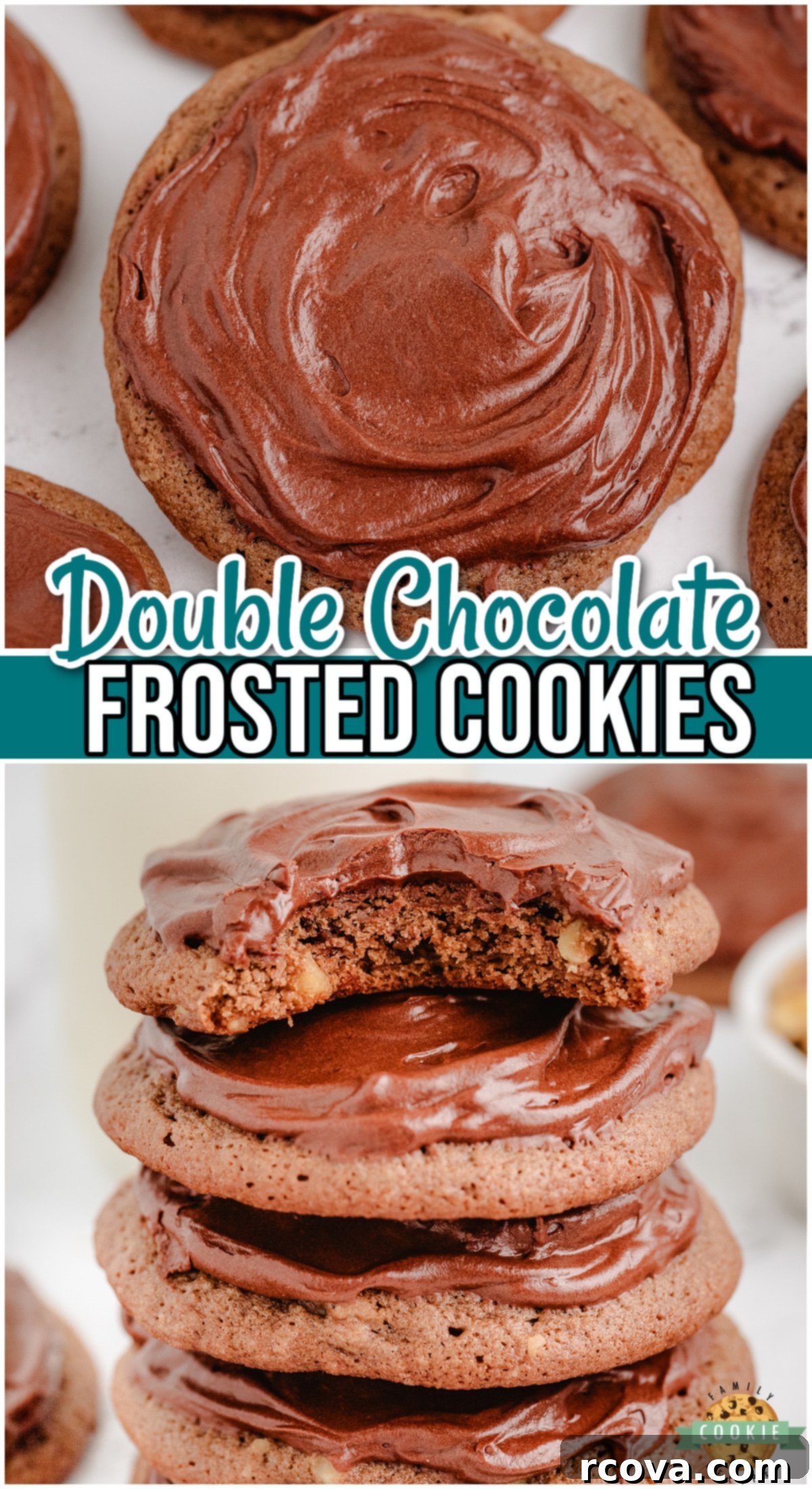 Midnight Chocolate Bliss Cookies 11 Frosted Double Chocolate Cookies are decadent cookies perfect for any chocolate lover! These chocolate walnut cookies are made with twice the chocolate, giving them a rich flavor that's irresistible!