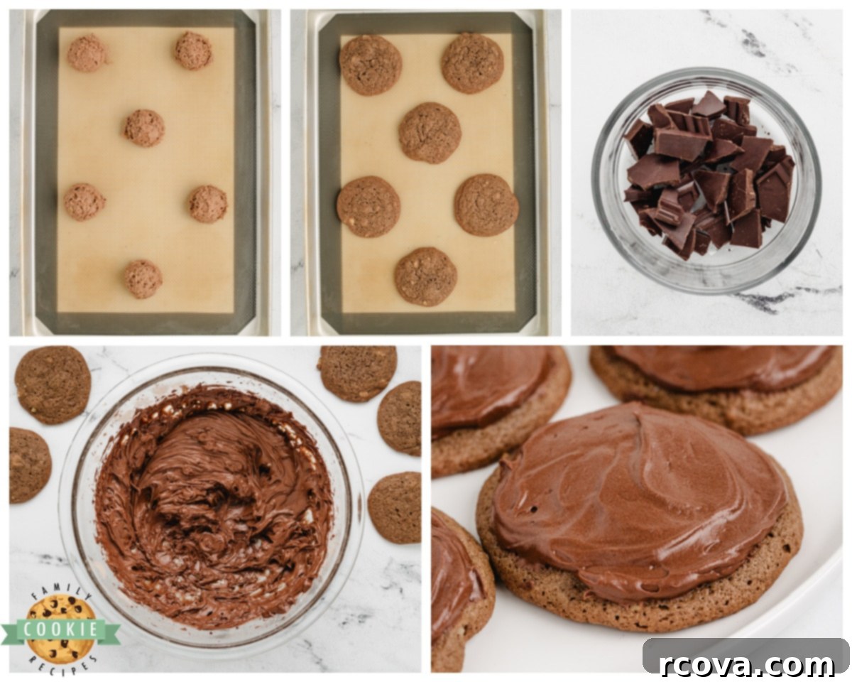 Midnight Chocolate Bliss Cookies 5 frosted double chocolate cookies