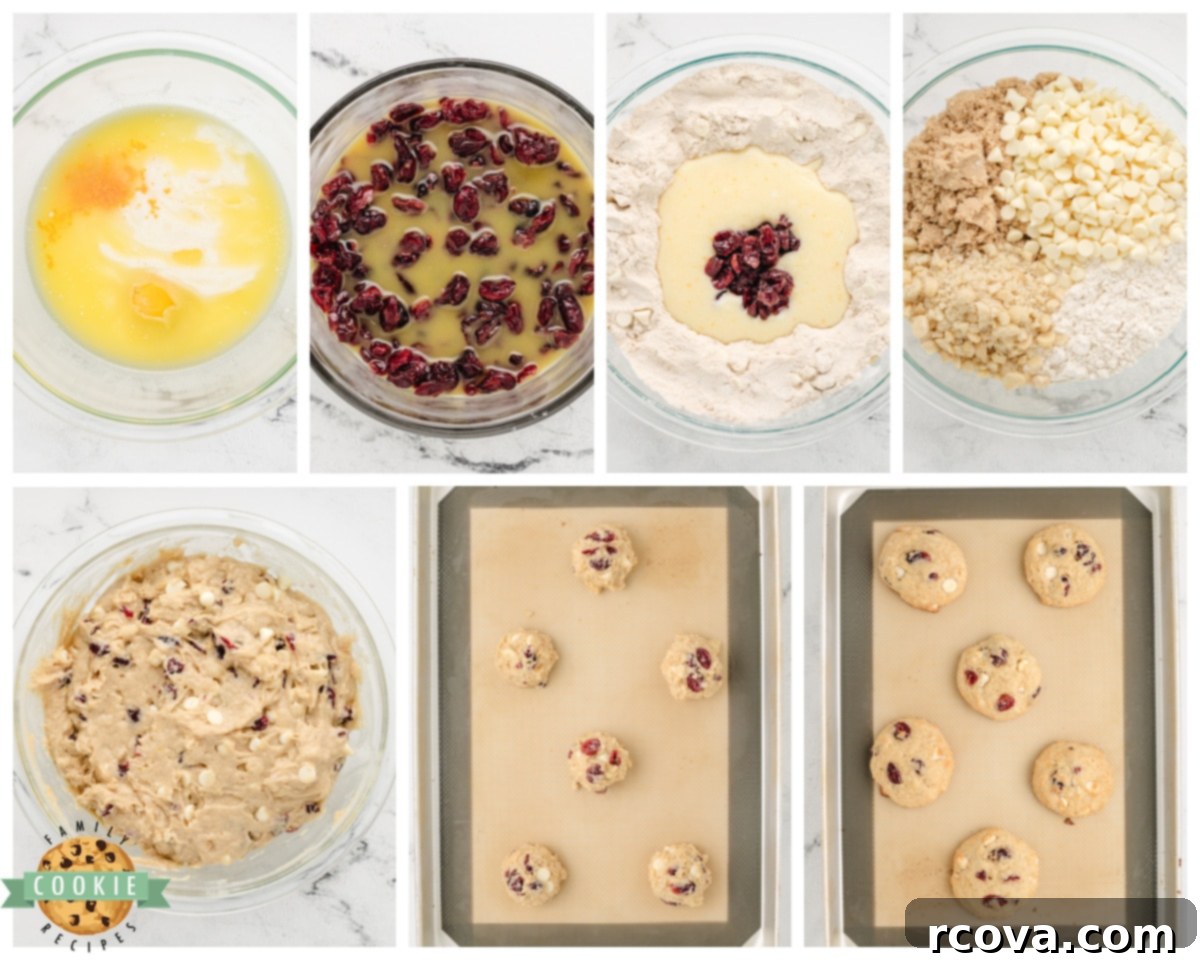 Luscious Macadamia Cranberry Cookies 4 how to make cranberry macadamia cookies