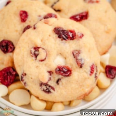 Luscious Macadamia Cranberry Cookies 6 cranberry macadamia nut cookies