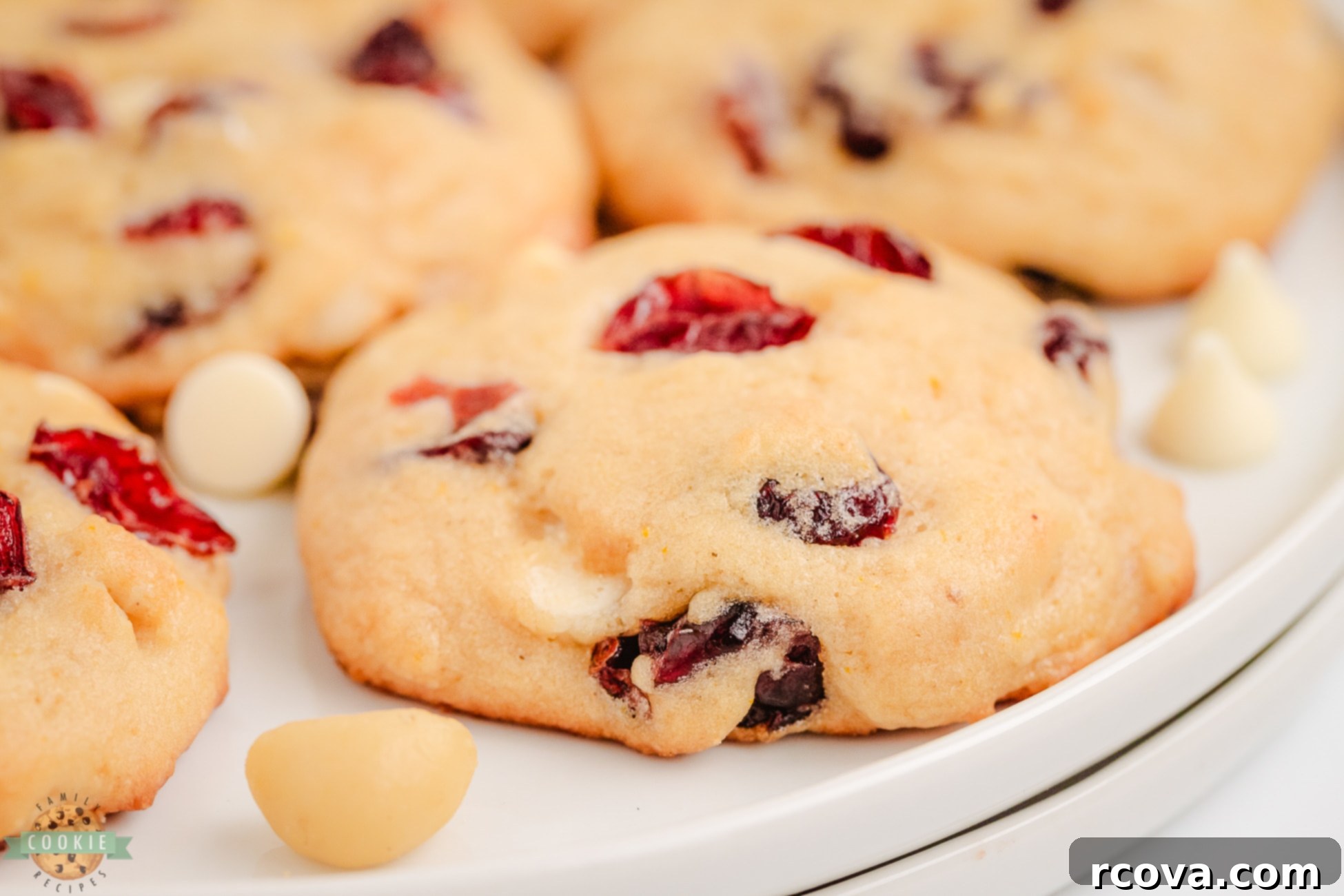 Luscious Macadamia Cranberry Cookies 7 cranberry cookies with nuts