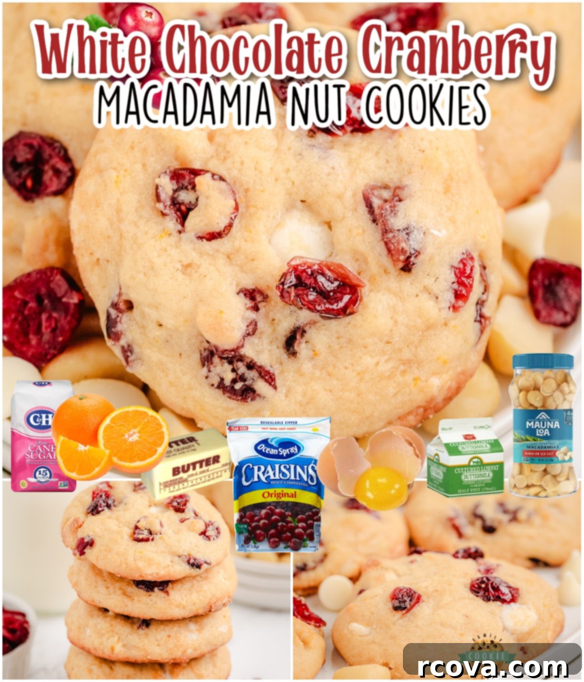 Luscious Macadamia Cranberry Cookies 8 Cranberry Macadamia Nut Cookies: A delightful, festive cookie that combines tart cranberries, sweet white chocolate & crunchy macadamia nuts!