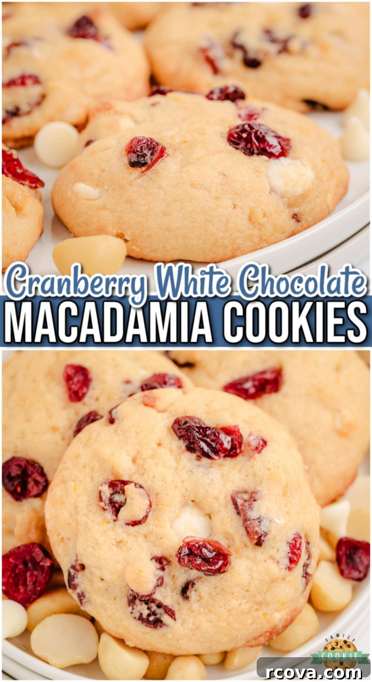 Luscious Macadamia Cranberry Cookies 9 A delightful, festive cookie combining tart cranberries, sweet white chocolate & crunchy macadamia nuts!
