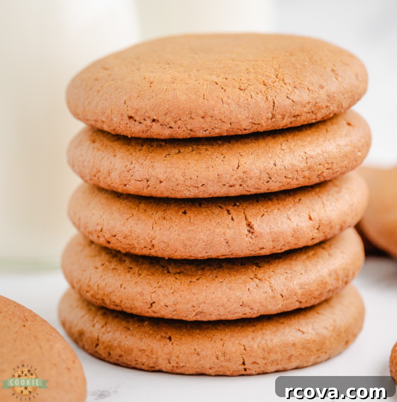 Soft and Chewy Molasses Cookies 2 soft chewy molasses cookies
