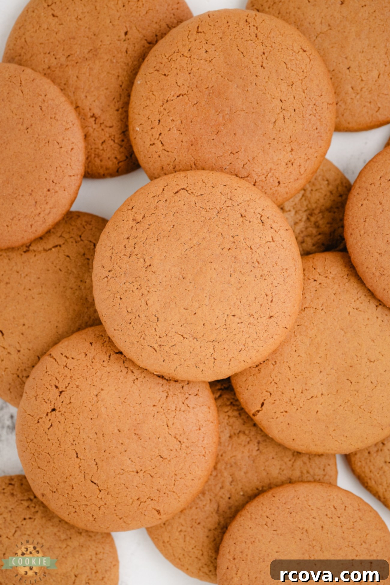 Soft and Chewy Molasses Cookies 3 molasses cookies on a tray