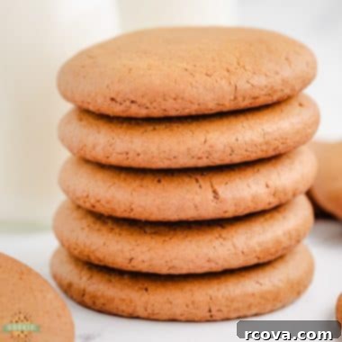 Soft and Chewy Molasses Cookies 6 soft chewy molasses cookies